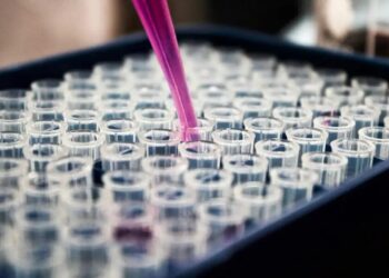 Pacientes com câncer podem congelar óvulos pelo SUS