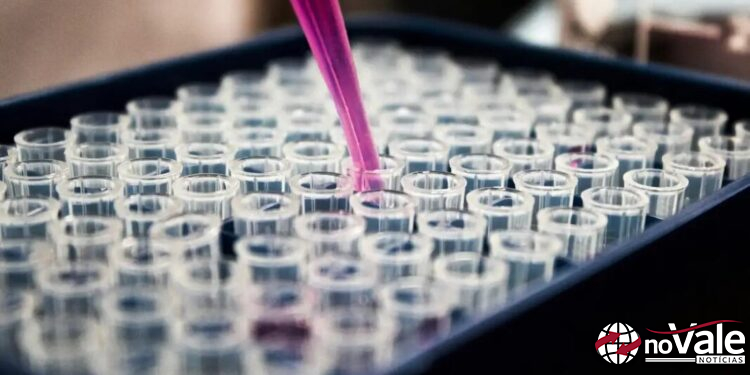 Pacientes com câncer podem congelar óvulos pelo SUS