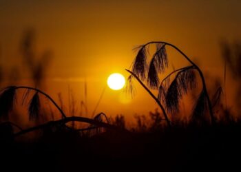 Depois de chuvas intensas, semana deve ser de tempo seco em Santa Catarina