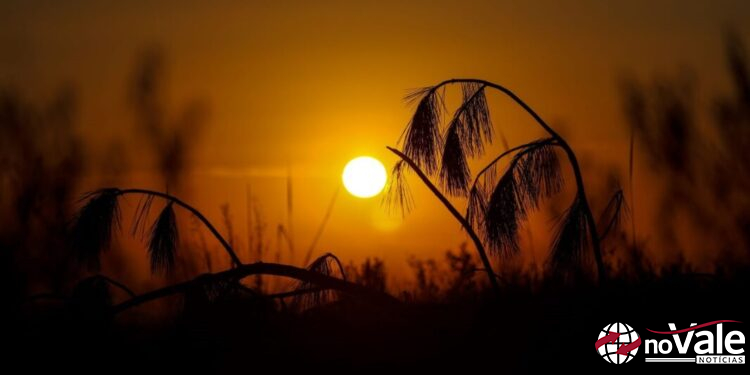 Depois de chuvas intensas, semana deve ser de tempo seco em Santa Catarina