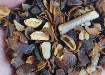 Ministério da Agricultura divulga lista com marcas de café torrado impróprias para consumo