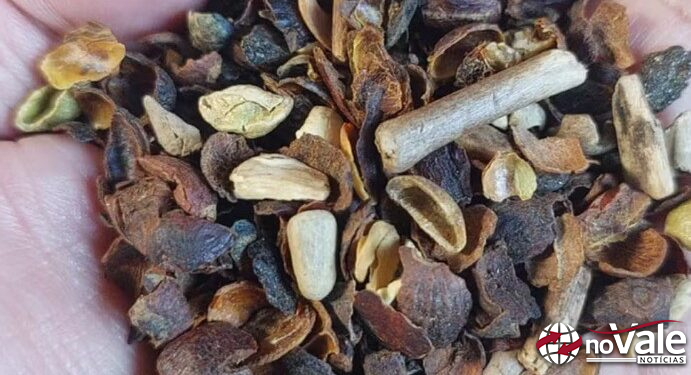 Ministério da Agricultura divulga lista com marcas de café torrado impróprias para consumo