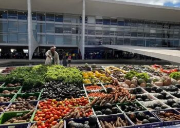 Governo lança novo Plano Safra com valor recorde para o agronegócio: R$ 475,5 bilhões