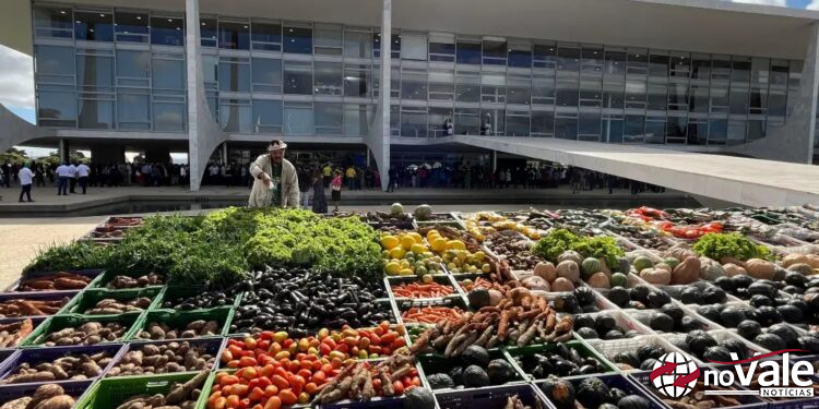 Governo lança novo Plano Safra com valor recorde para o agronegócio: R$ 475,5 bilhões