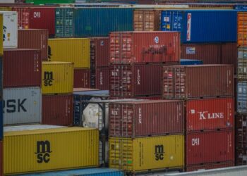 Exportação catarinense de carnes cresce no primeiro semestre e alcança segundo melhor resultado da série histórica