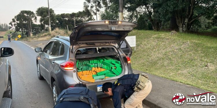 Homem flagrado transportando mais de 600 quilos de maconha em Ouro vai continuar preso
