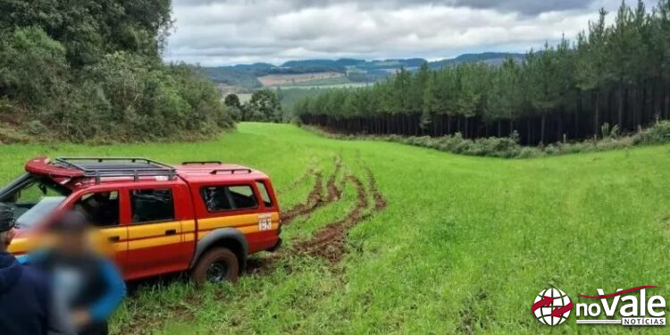 Mulher sai para colher pinhão, cai de ribanceira e bate com cabeça em pedra em SC