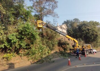 Defesa Civil de Capinzal inicia remoção de árvores em áreas de risco