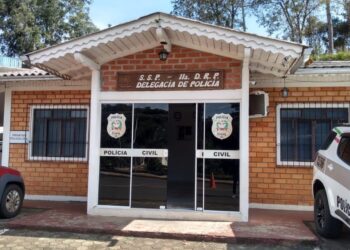 Três armas de fogo são apreendidas em Operação Policial em Treze Tílias