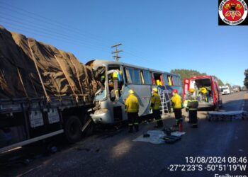 Colisão entre ônibus e caminhão deixa pessoas feridas na SC-355