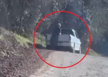 Vídeo flagra descarte de lixo em área de preservação permanente entre Capinzal e Campos Novos