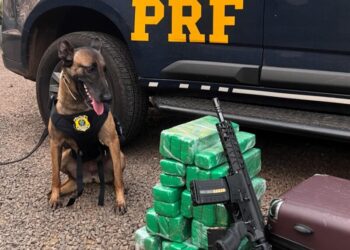 PRF encontra maconha, fuzil e munições com menor de idade em Chapecó