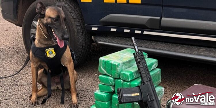 PRF encontra maconha, fuzil e munições com menor de idade em Chapecó