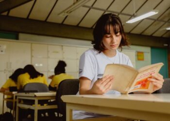 Universidade Gratuita tem mais de 23 mil beneficiados para o segundo semestre de 2024