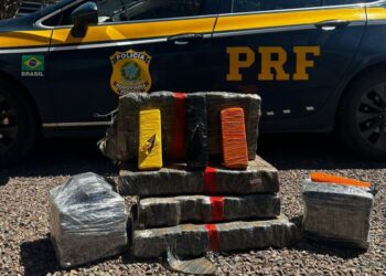 Dupla é detida com quase 70 kg de maconha na BR-282