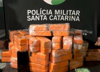 Adolescente é flagrado com 18 kg de maconha em ônibus