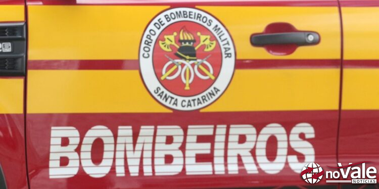 Bombeiros realizam captura de cobra em empresa em Capinzal