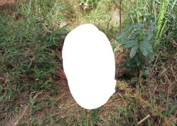 Corpo em avançado estado de decomposição é encontrado no interior de Fraiburgo