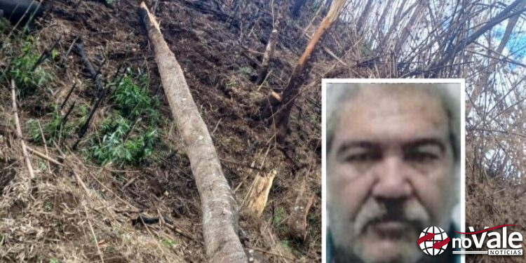 Identificado o homem que morreu após ser atingido por árvore no interior de Vargem Bonita