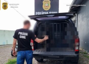 Homem condenado por estupro de vulnerável é preso em Tangará