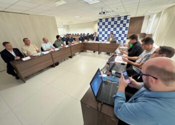 Conselho Estadual do SPC discute planejamento para 2025