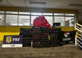 Operação policial apreende meia tonelada de maconha em Água Doce (Vídeo)