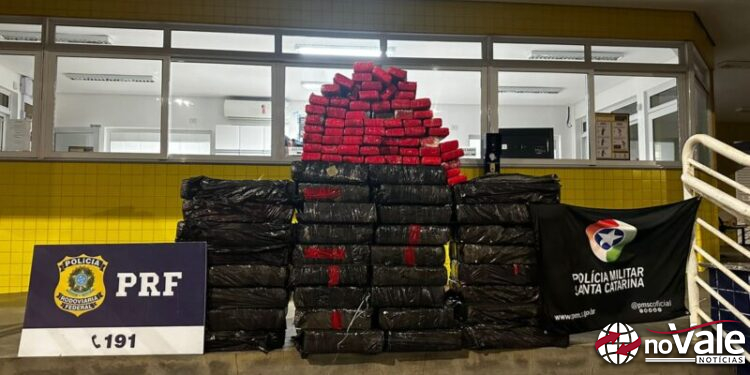 Operação policial apreende meia tonelada de maconha em Água Doce (Vídeo)