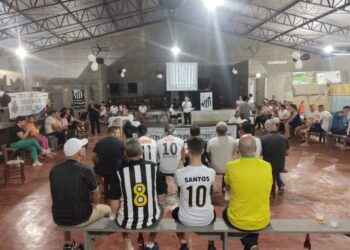 Torcedores celebram acesso do Santos à elite do futebol brasileiro
