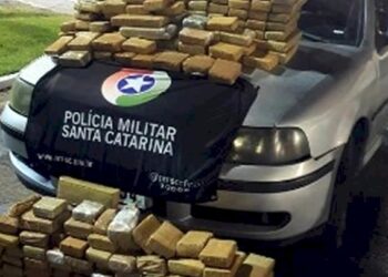 Mais de 7,6 toneladas de maconha foram apreendidas nas rodovias estaduais de SC em 2024