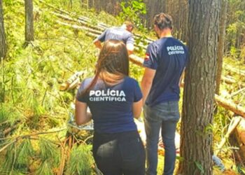 Trabalhador morre após ser atingido por tronco de árvore no interior de Joaçaba