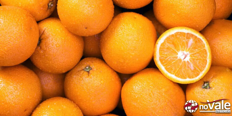 PRF apreende 35 toneladas de laranjas sem documentação em Campos Novos