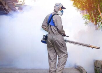 Capinzal intensifica combate à dengue com ação de fumacê nesta sexta-feira