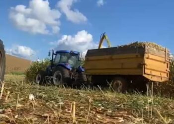 Secretaria de Agricultura de Zortéa intensifica trabalhos com a silagem