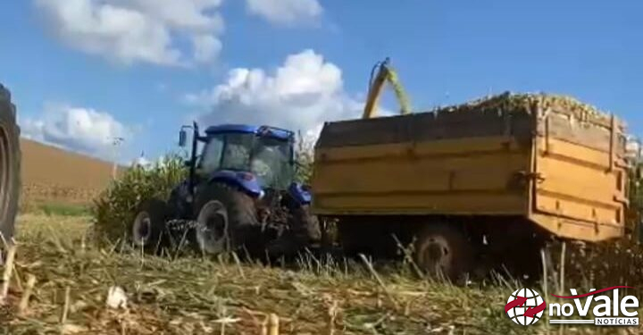 Secretaria de Agricultura de Zortéa intensifica trabalhos com a silagem