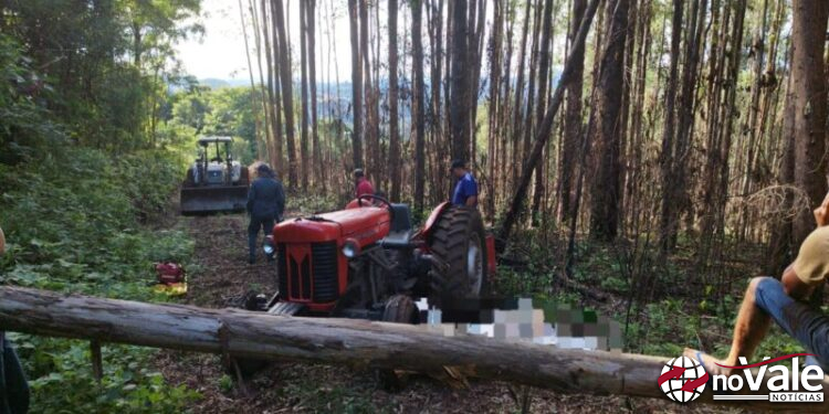Idoso morre após ser atingido por queda de árvore em Ibiam
