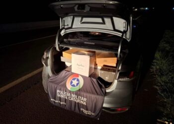 PMRv apreende carga de vinho argentino na SC-480