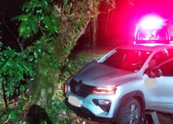 Colisão de carro contra árvore deixa condutora ferida em Herval d` Oeste