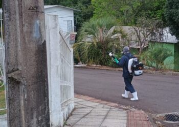 Nova aplicação de fumacê será realizada na segunda (17), no Loteamento Dona Alda