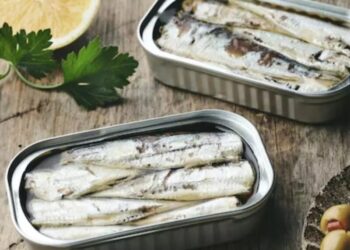 Sardinha em lata: medida de Alckmin pode colapsar indústria de SC