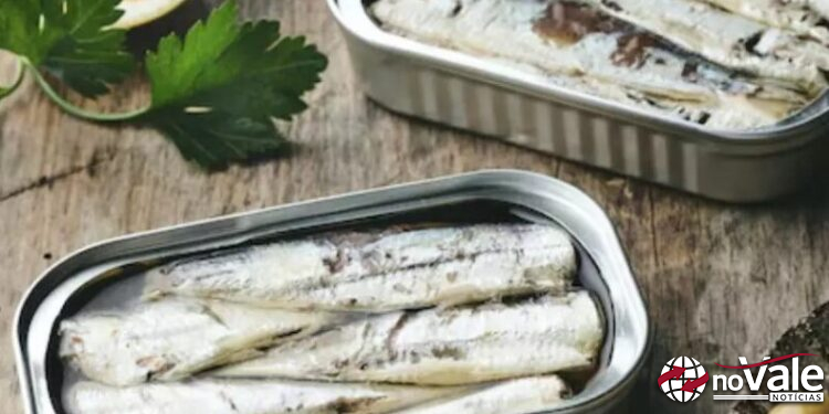 Sardinha em lata: medida de Alckmin pode colapsar indústria de SC