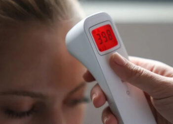 Santa Catarina confirma as primeiras mortes por chikungunya