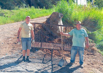 Secretaria de Infraestrutura realiza ação de limpeza e organização urbana