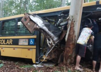 Ônibus escolar sai da pista e deixa cinco feridos em Marcelino Ramos