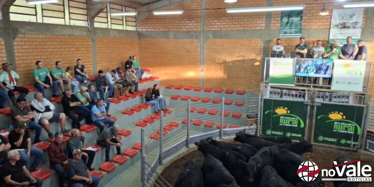 Sindicato Rural de Capinzal movimenta R$ 1,2 milhões no 58º Leilão de Gado