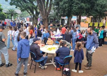 Acontecendo neste sábado a Mobilização Literária em Capinzal