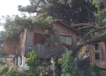 Árvore cai sobre residência em Vargem