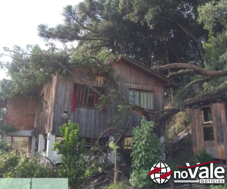 Árvore cai sobre residência em Vargem