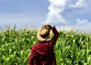 Secretaria da agricultura disponibiliza incentivo agrícola para produtores rurais de Zortéa