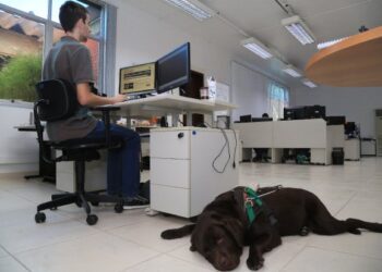 Cresce a empregabilidade da pessoa com deficiência no mercado de trabalho formal em Santa Catarina