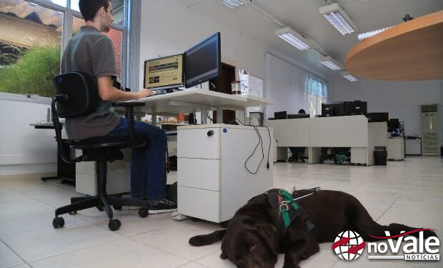 Cresce a empregabilidade da pessoa com deficiência no mercado de trabalho formal em Santa Catarina